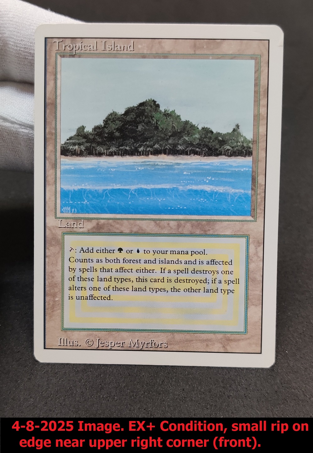 Tropical Island